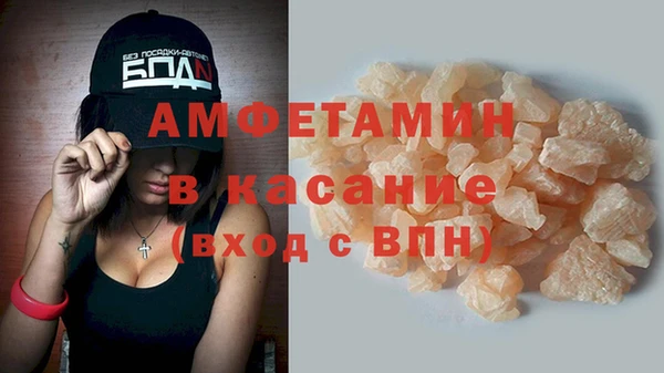 индика Алексин