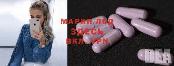 индика Алексин