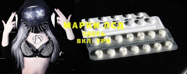 индика Алексин