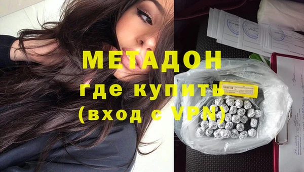 индика Алексин