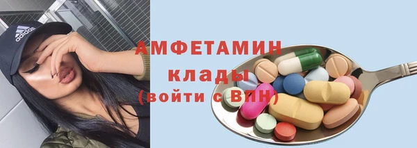 индика Алексин
