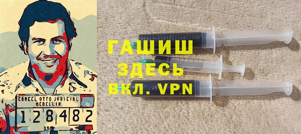 индика Дмитриев