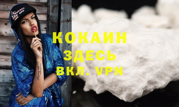 индика Алексин