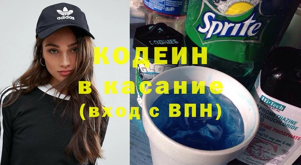 индика Алексин