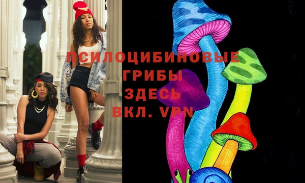 индика Алексин