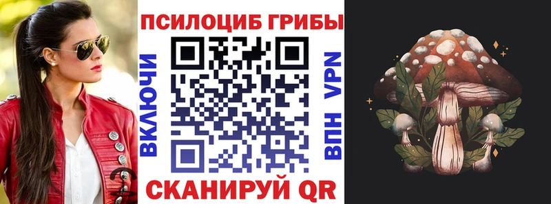 mega зеркало  Ярцево  Псилоцибиновые грибы мухоморы 